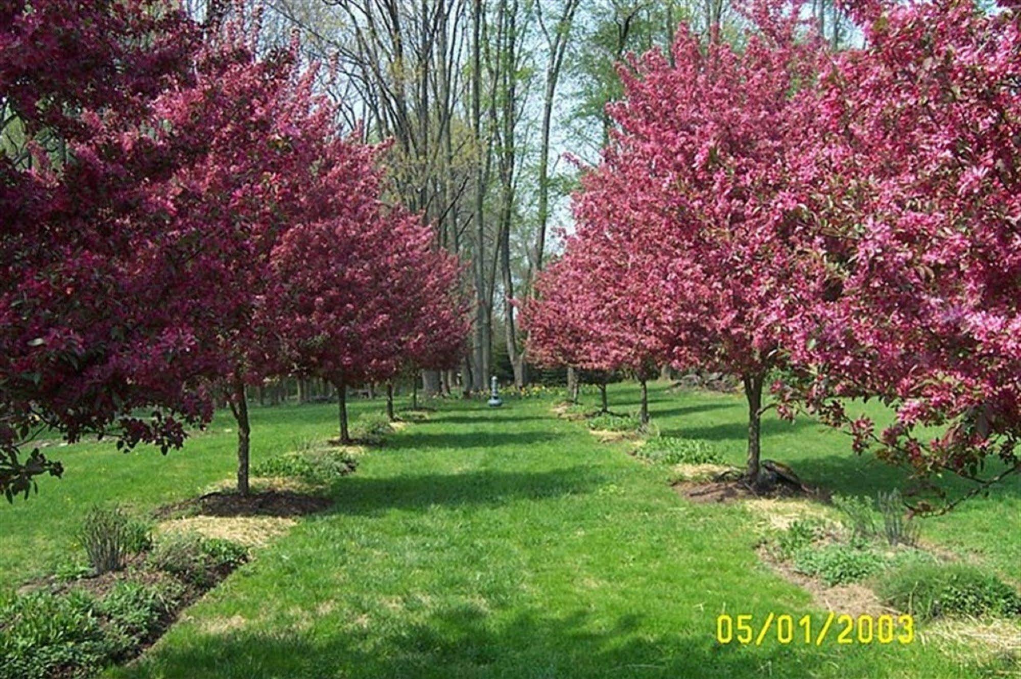 Bed and Breakfast Wild Wisteria Chadds Ford Exterior foto