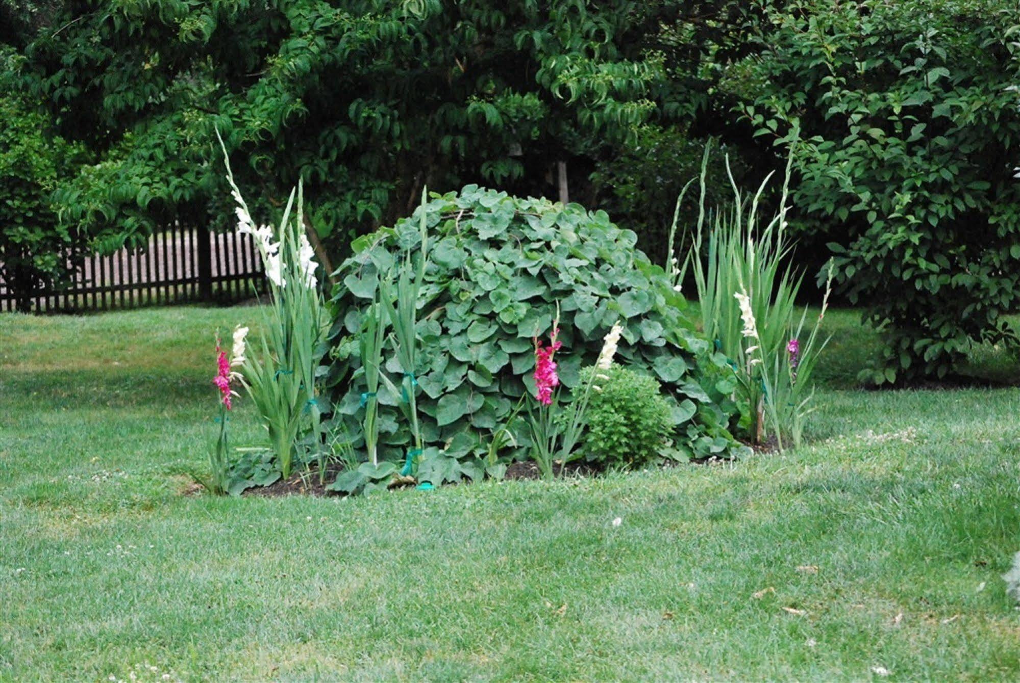 Bed and Breakfast Wild Wisteria Chadds Ford Exterior foto