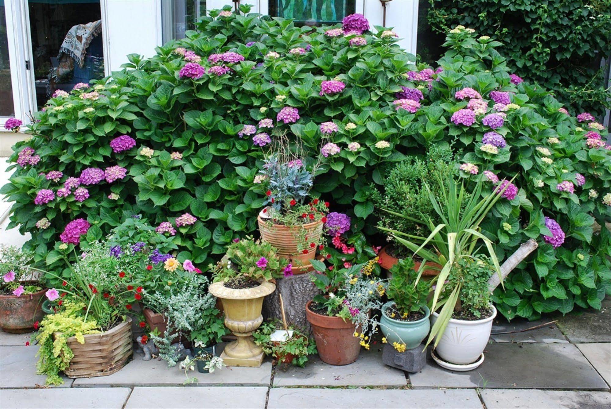 Bed and Breakfast Wild Wisteria Chadds Ford Exterior foto