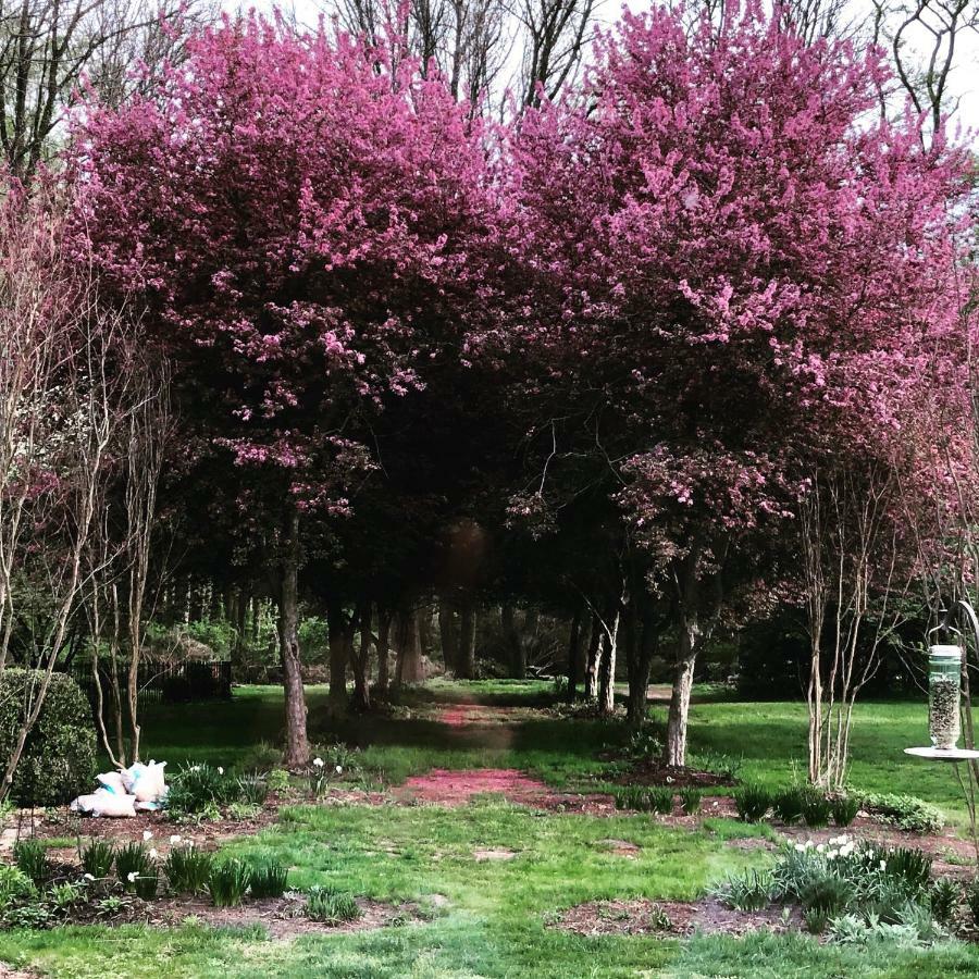 Bed and Breakfast Wild Wisteria Chadds Ford Exterior foto